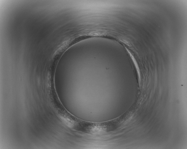 X0000063460303200601231425