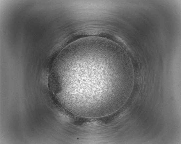 X0000063460307200601231425