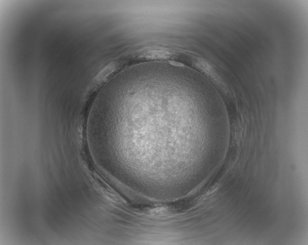 X0000063460309200601231425