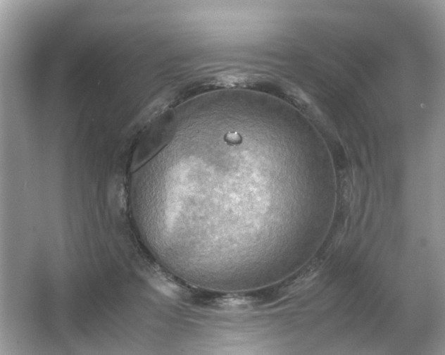 X0000063460313200601231425