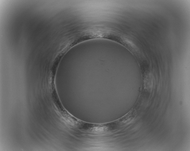 X0000063460314200601231425