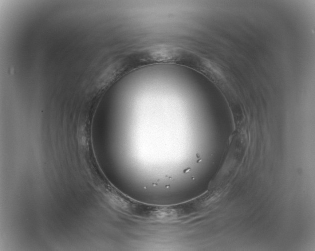 X0000063460317200601231425