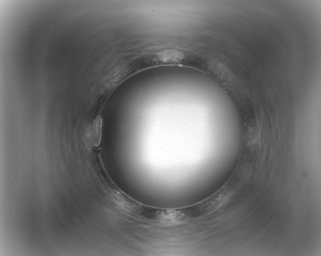 X0000063460321200601231425