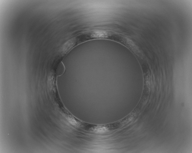 X0000063460322200601231425