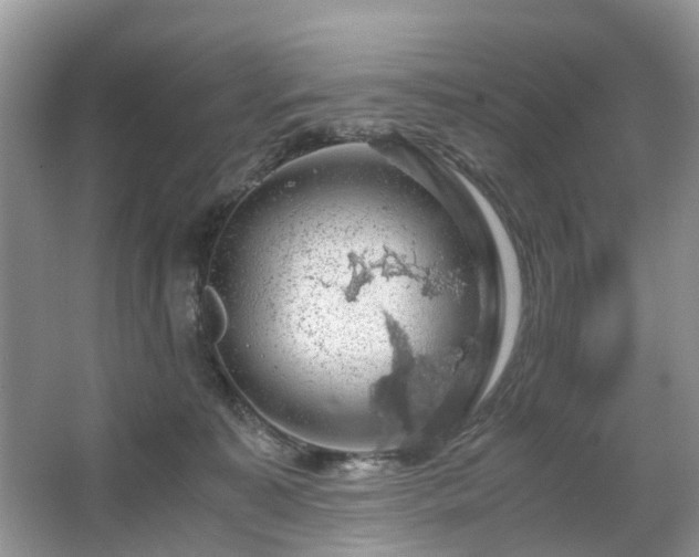 X0000063460323200601231425