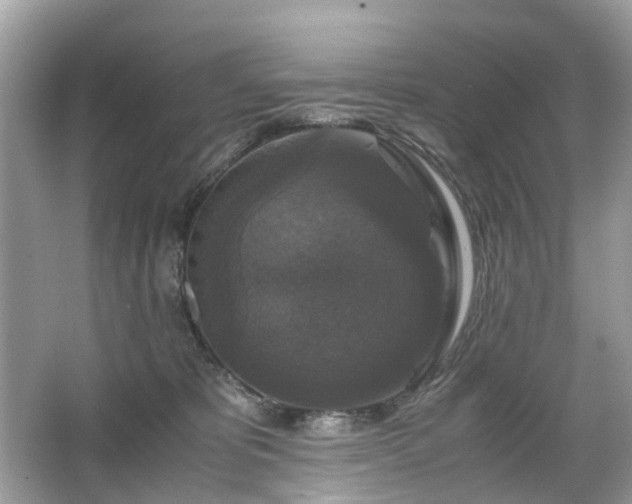 X0000063460325200601231425