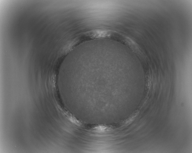 X0000063460326200601231425