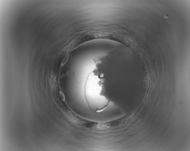 X0000063460327200601231425