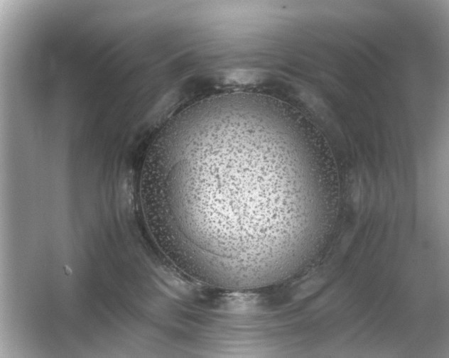 X0000063460328200601231425