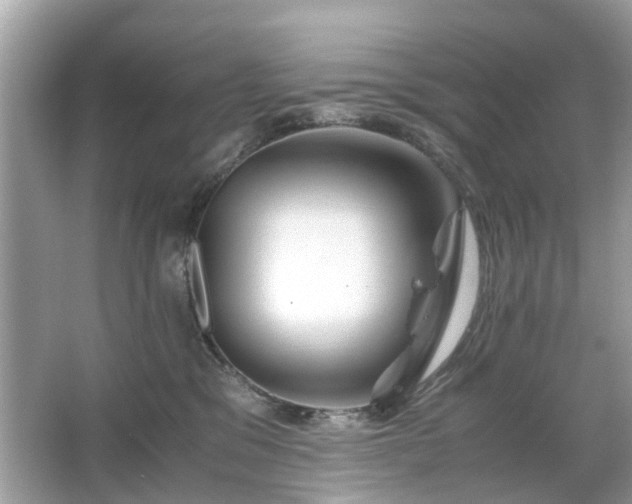 X0000063460329200601231425