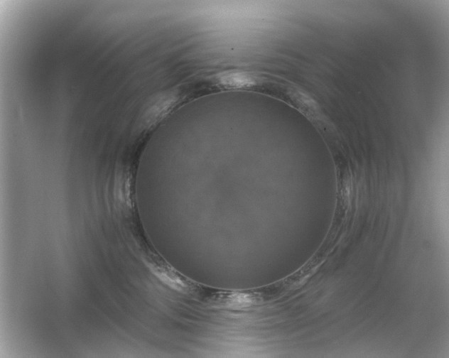 X0000063460330200601231425