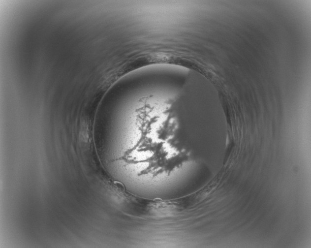 X0000063460331200601231425