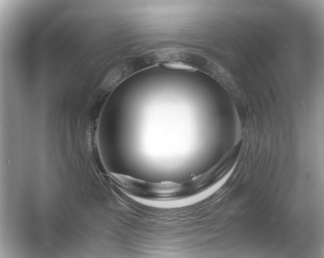 X0000063460333200601231425