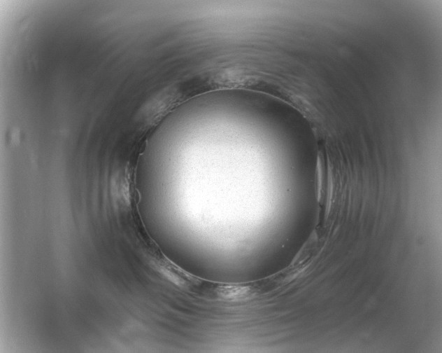 X0000063460334200601231425