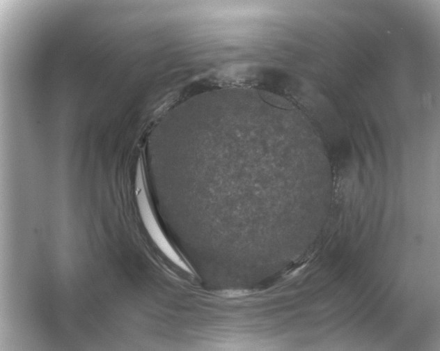 X0000063460335200601231425