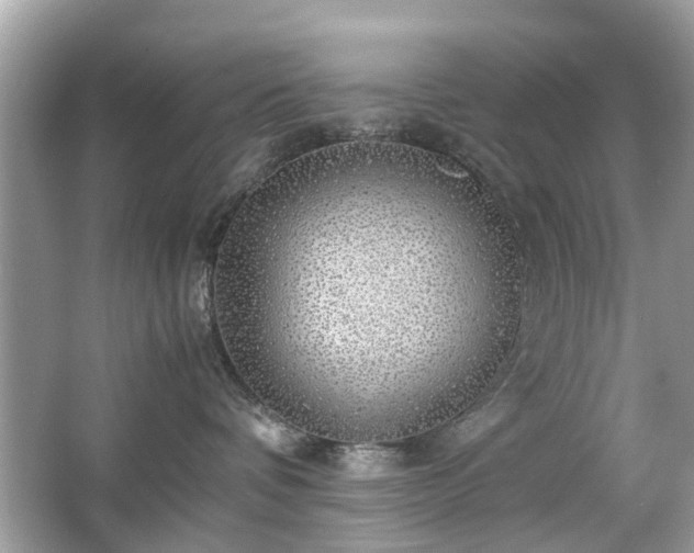 X0000063460336200601231425