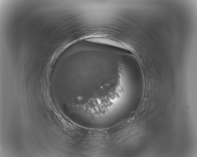 X0000063460337200601231424