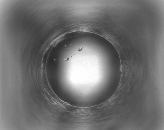 X0000063460338200601231424