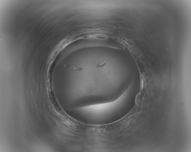 X0000063460339200601231424