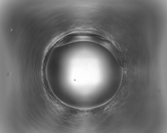 X0000063460340200601231424