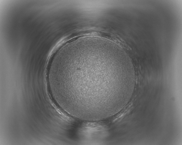 X0000063460341200601231424