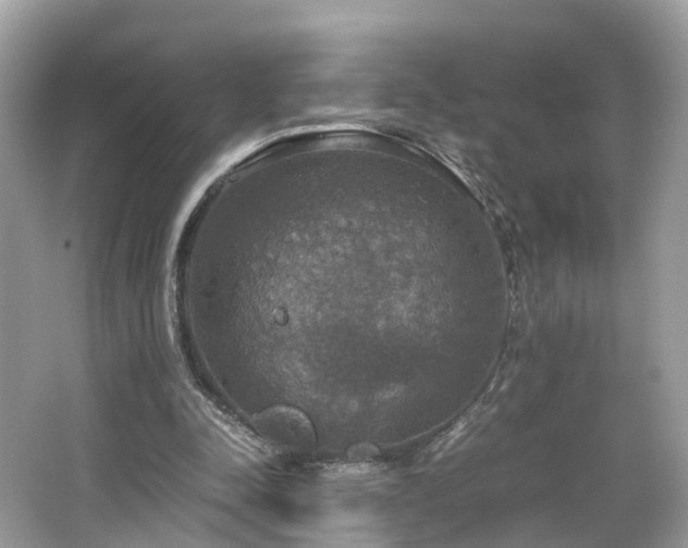 X0000063460342200601231424