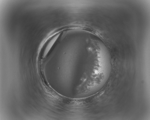 X0000063460343200601231424