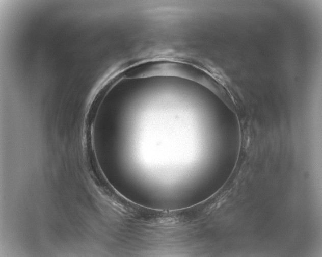 X0000063460344200601231424