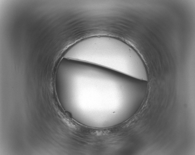 X0000063460345200601231424