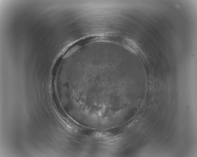 X0000063460346200601231424