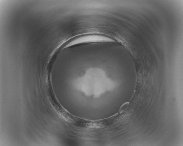 X0000063460347200601231424