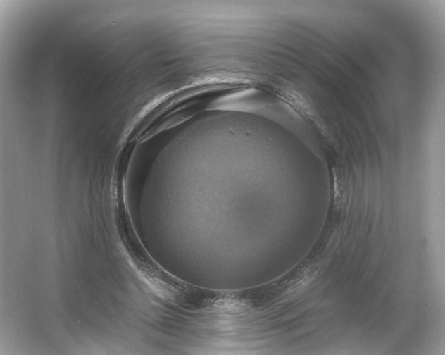 X0000063460348200601231424