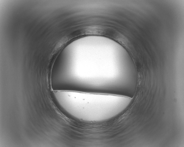 X0000063460349200601231424