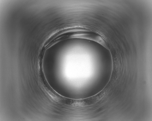 X0000063460350200601231424