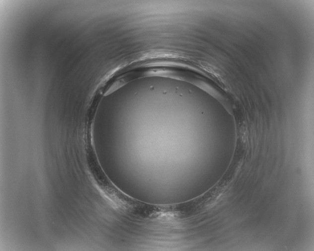 X0000063460352200601231424