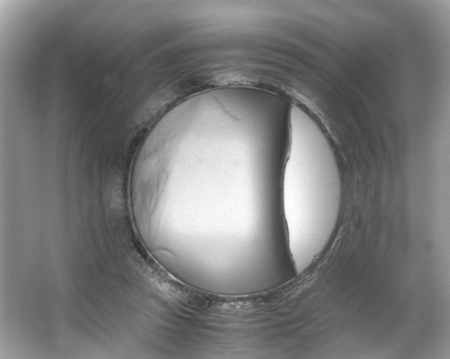 X0000063460353200601231424