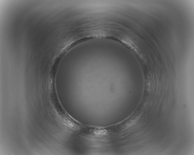 X0000063460355200601231424