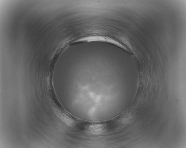 X0000063460357200601231424