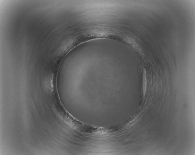 X0000063460358200601231424