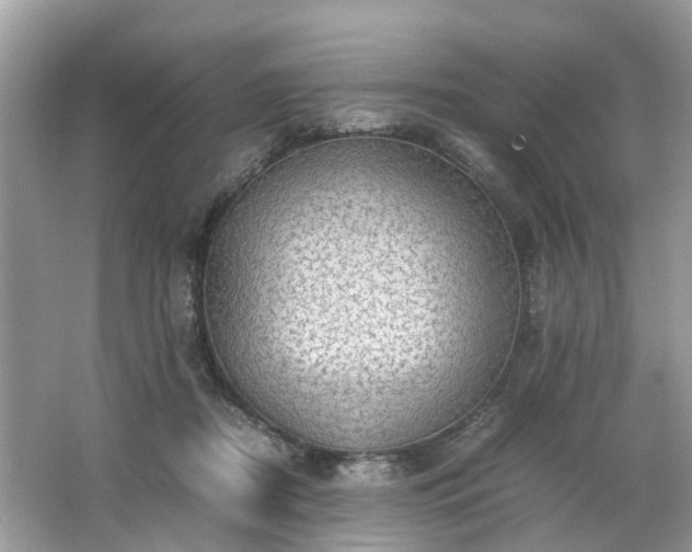 X0000063460362200601231424