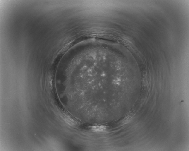 X0000063460363200601231424