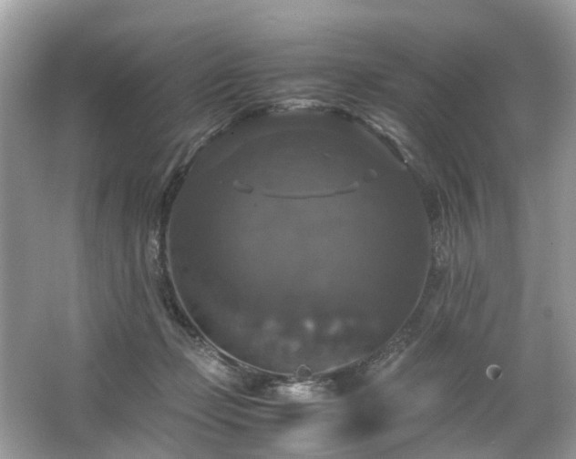 X0000063460365200601231424