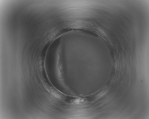 X0000063460366200601231424