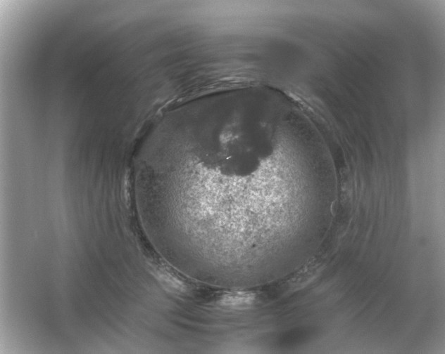 X0000063460369200601231424