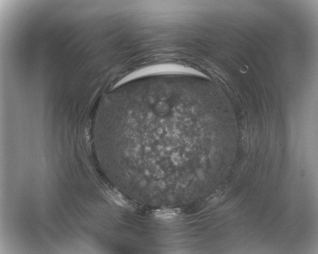 X0000063460373200601231424