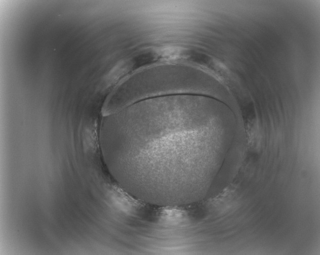 X0000063460376200601231424