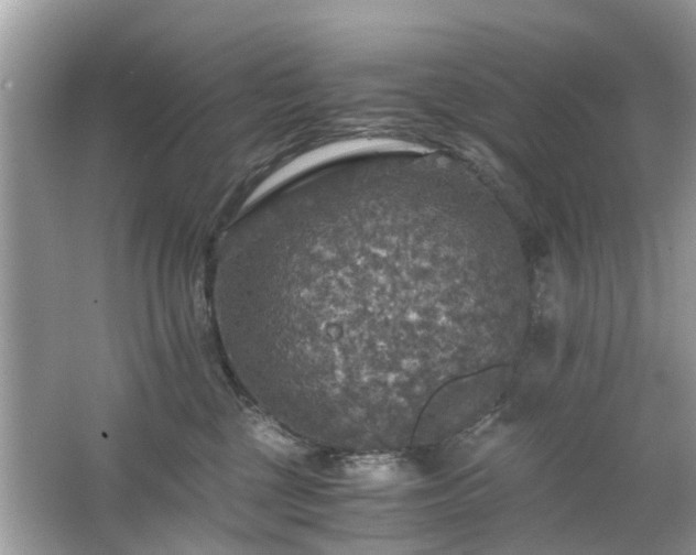 X0000063460377200601231424