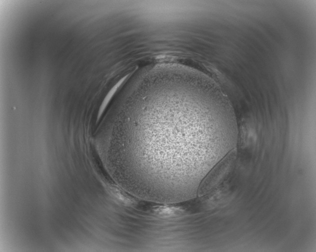 X0000063460379200601231424