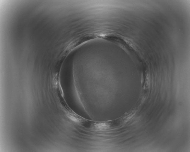 X0000063460383200601231425