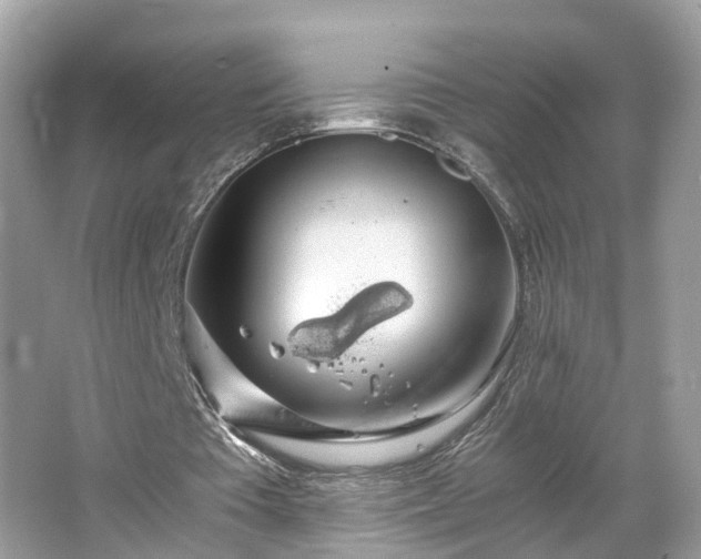 X0000063460385200601231424